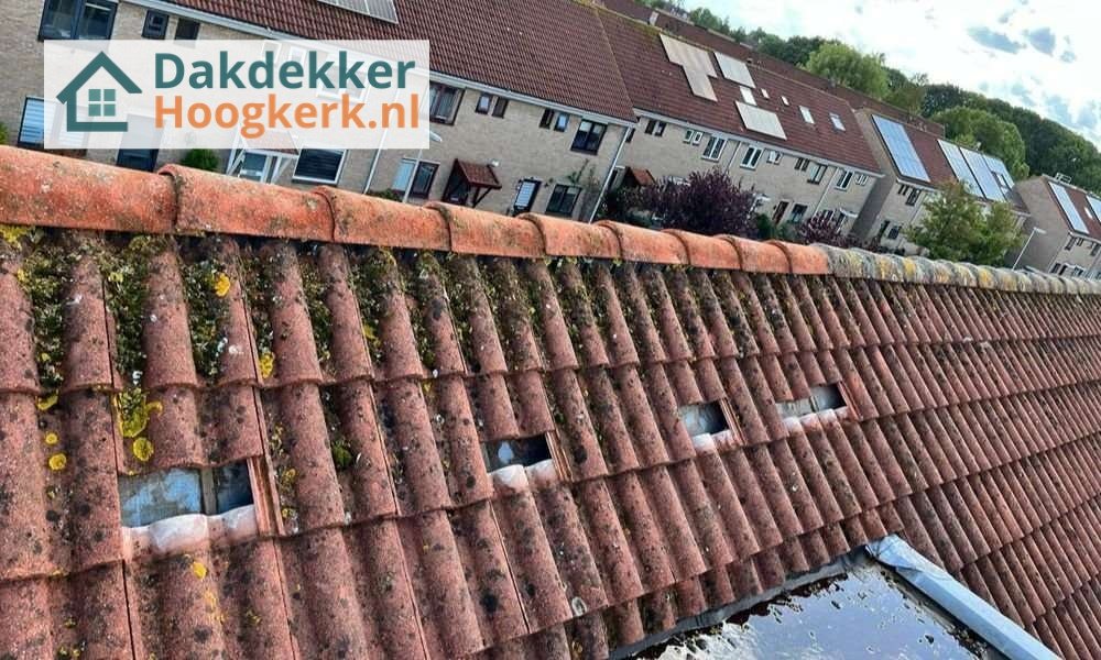 Een dakrenovatie bij oud pannendak in Hoogkerk